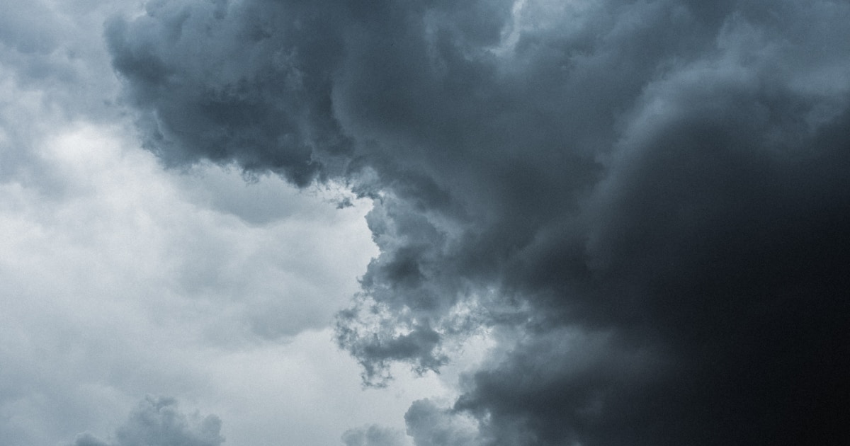 梅雨の湿気対策8選|カビ・ダニ・結露を防ぐ実践テクニック