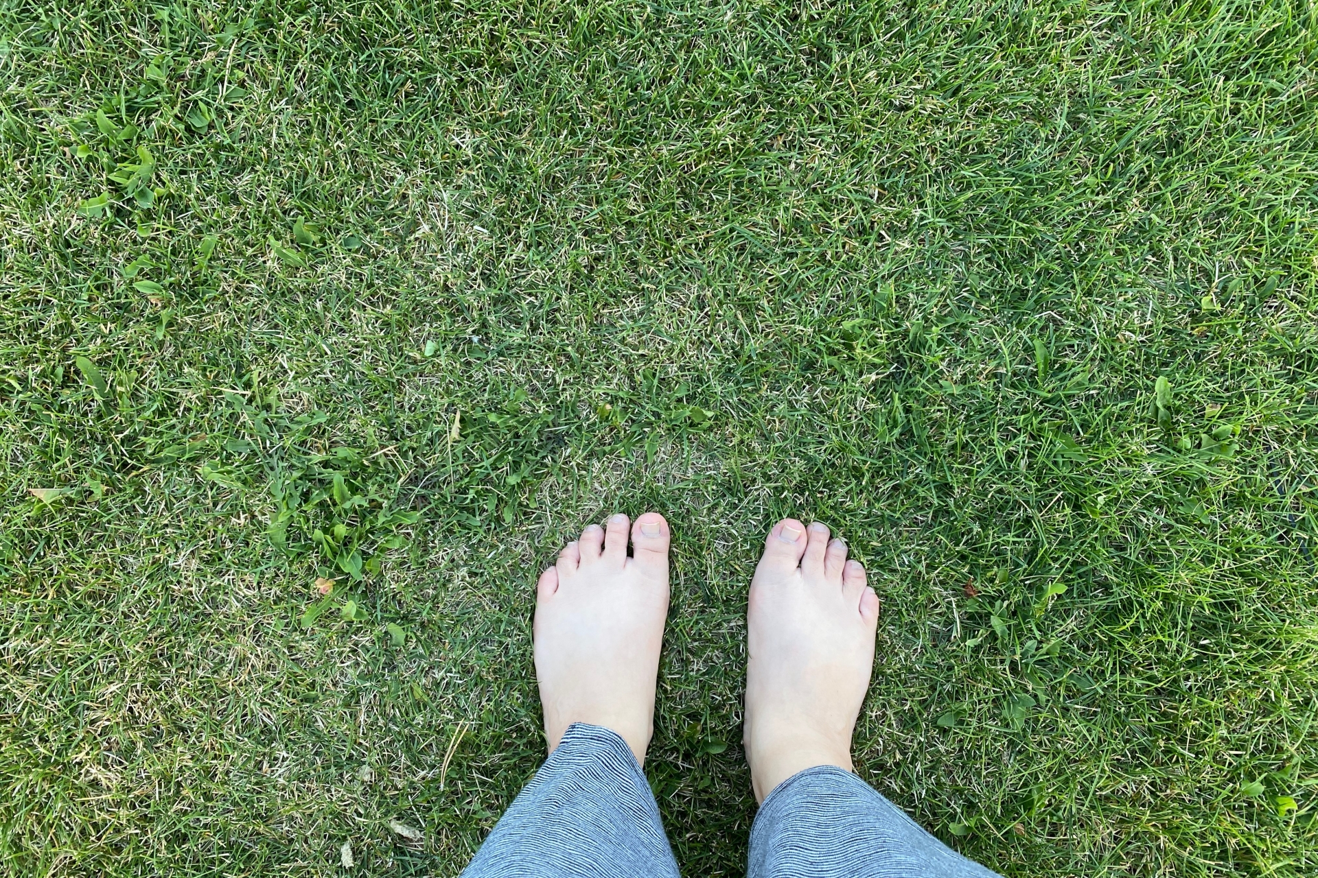 グラウンディング アーシング 裸足で芝生を歩く女性